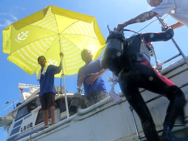 �H�ژp�{�[�g�_�C�r���O�Q_�A�N�A�g���b�v�_�C�r���O