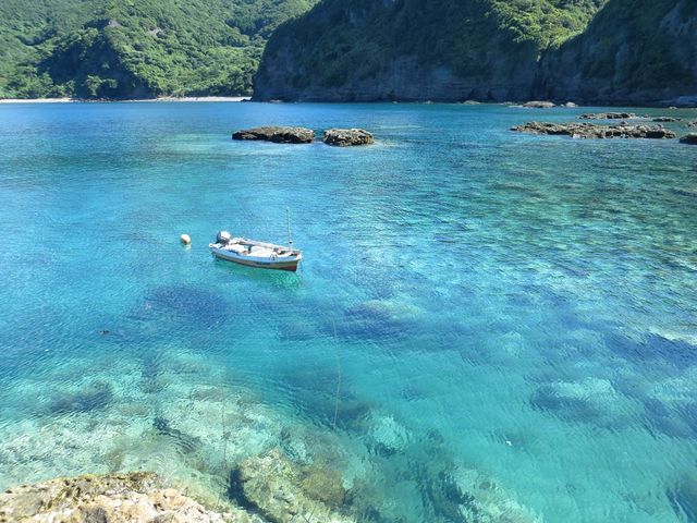 ����r�[�`_�A�N�A�g���b�v�_�C�r���O