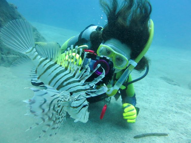 ����t�@���_�C�r���O_�A�N�A�g���b�v�_�C�r���O