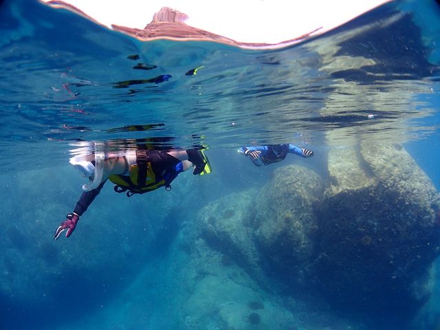 �A�N�A�g���b�v�_�C�r���O