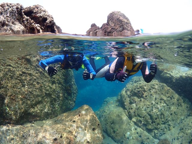 �A�N�A�g���b�v�_�C�r���O