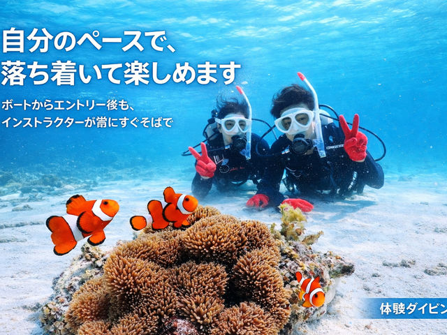 �T�}�[�h���[���Ί_��