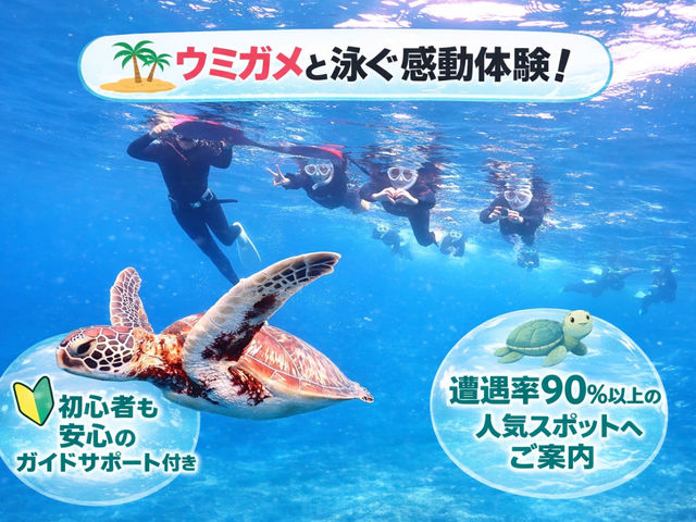 �T�}�[�h���[���Ί_��