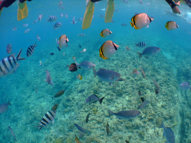 �썑��_��������