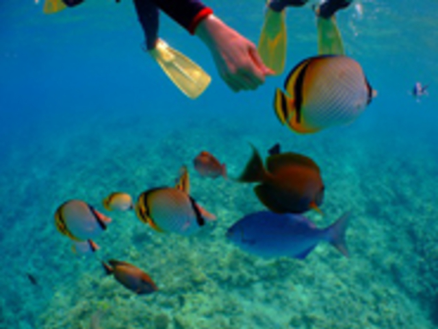 �a�������܂���_��������