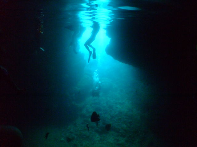 ���A�����_��������