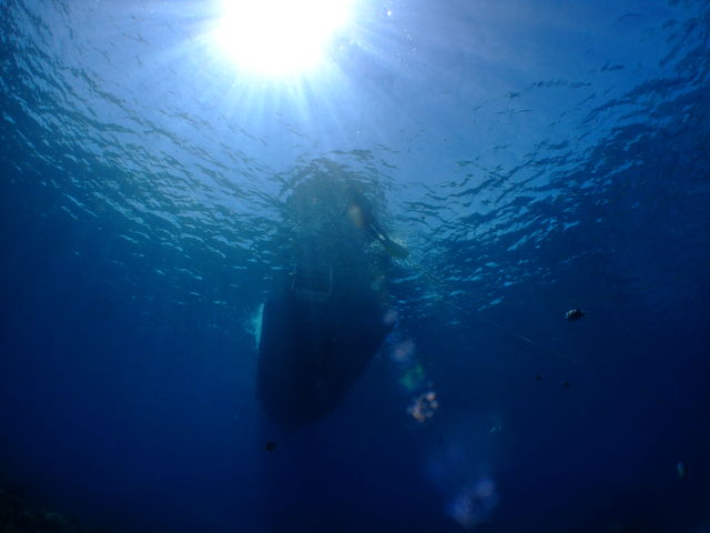 ���̃V�����[���ČĂ�ł܂��B_��������