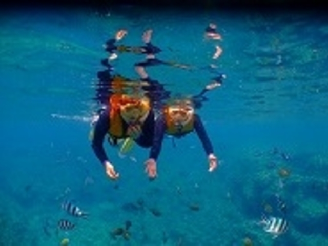 �a����������_��������