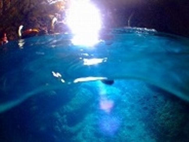 ���������ʂ�_��������