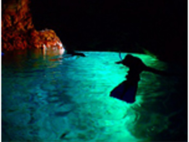 ���A�̒�_��������