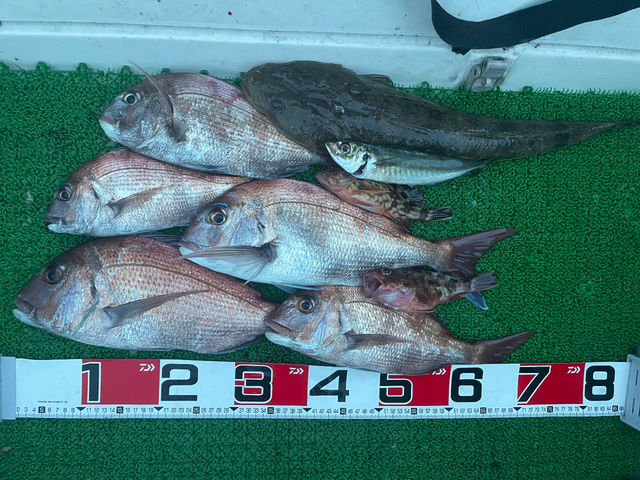 7��17���̒މ�_�V���D���ƂЂ�