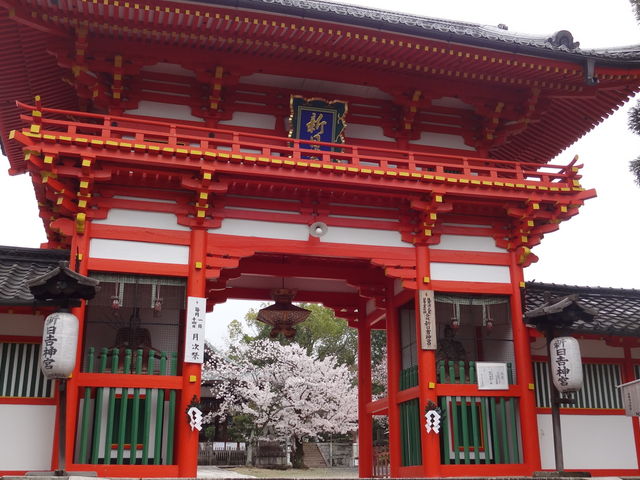 �V���g�_�{