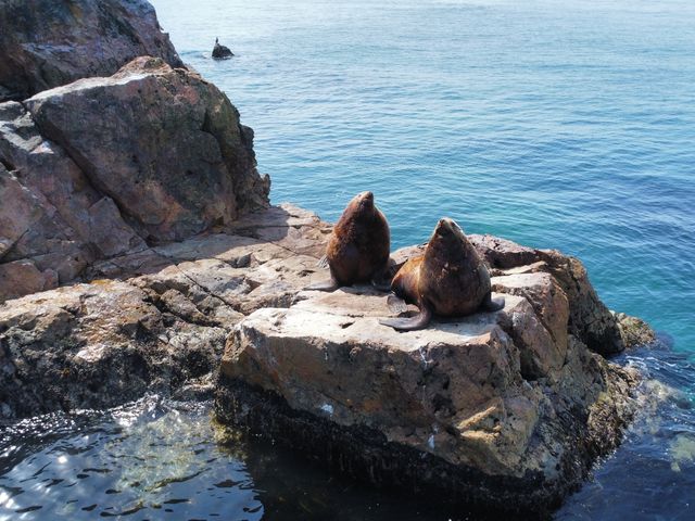 �T�����{���܂Ō����܂��B_���M�̓��A�N���[�Y