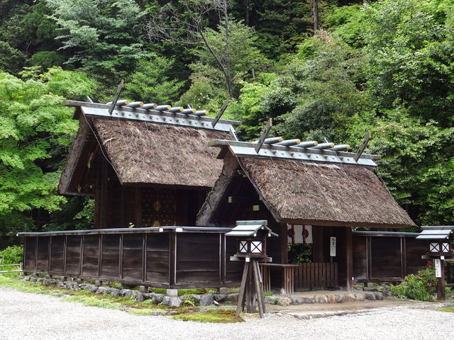 ������_�{