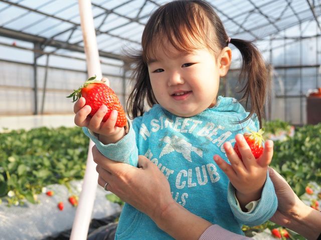 �����܃n�[�x�X�g