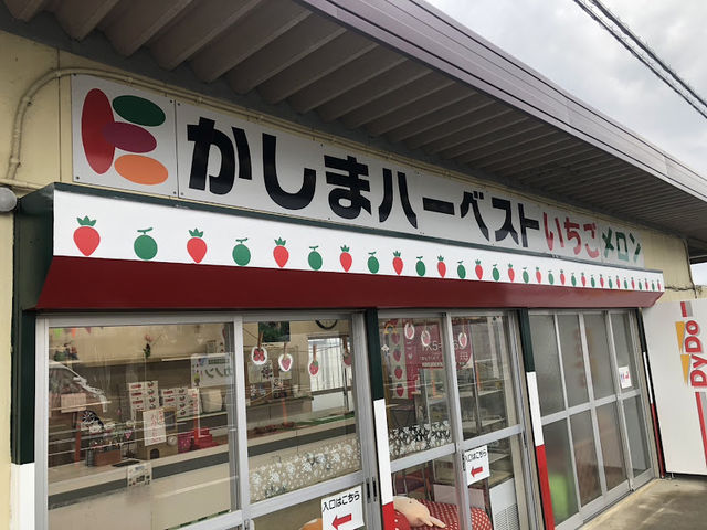 �����܃n�[�x�X�g