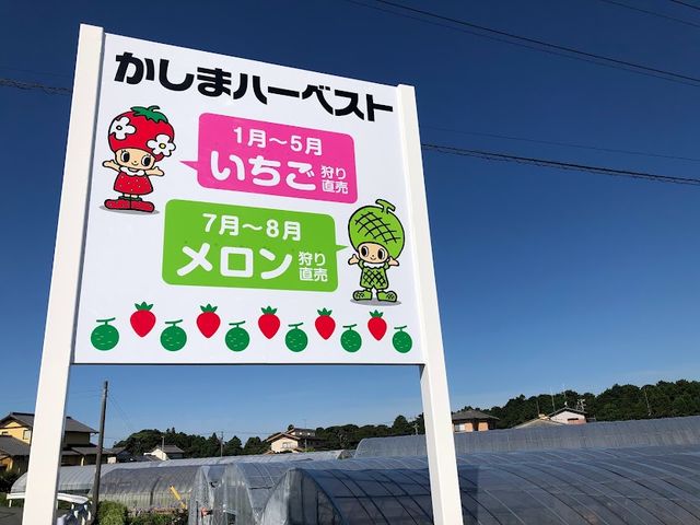 �����܃n�[�x�X�g