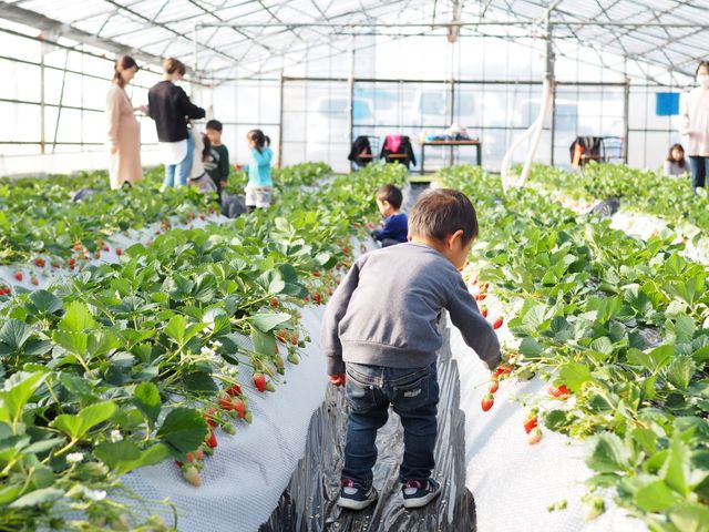 �����܃n�[�x�X�g