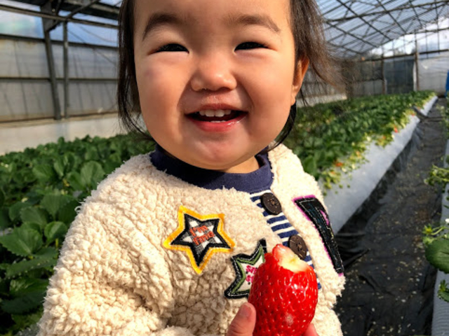 �����܃n�[�x�X�g