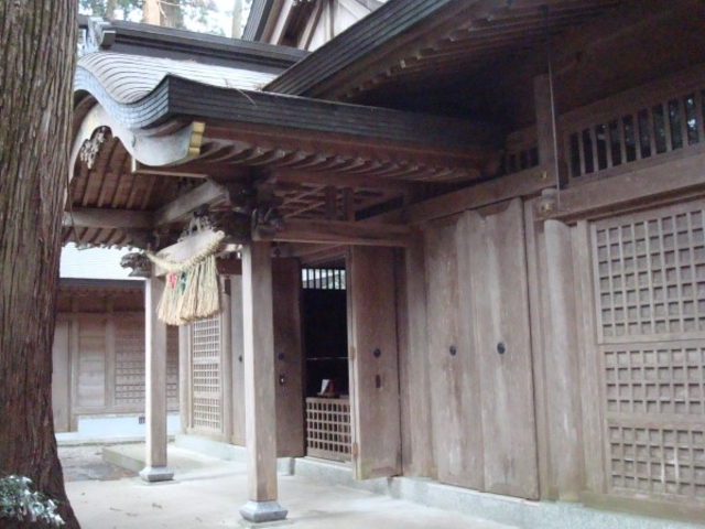 �����ӂ�_��