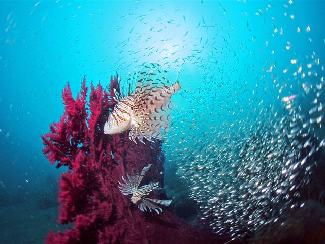 �����E�ɑ���̐��������B
�썑�ɍs���Ȃ��Ă��A��y�ɐ_��Ȑ��E���̂������Ƃ��ł��܂�_�}�����@�N���G�C�g�@��c