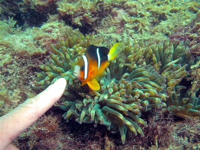 �����̋������͂Ƃ��Ă��t�����h���[��
�����Ƃ����Ԃɂ��F�B�ɂȂ�܂�
_�}�����@�N���G�C�g�@��c