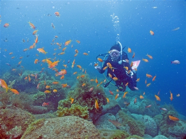 ��𒾂߂��u�Ԃ��狛�����̐��E�֓˓��I�����ɃJ���t���A�召�̋������Ɉ͂܂�܂�_�}�����@�N���G�C�g�@��c