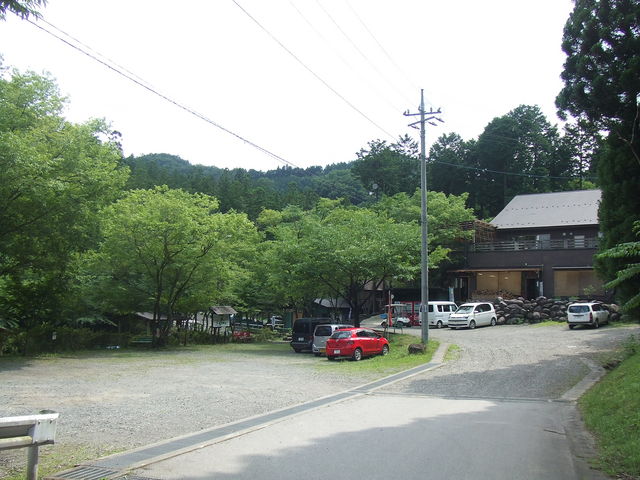 �����E�܂Ȃ��̐X