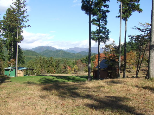 �����E�܂Ȃ��̐X