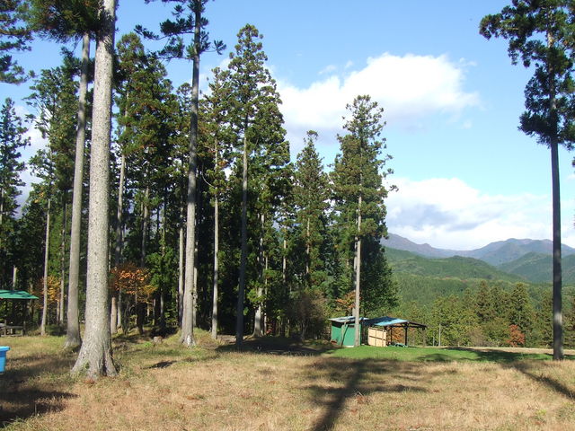 �����E�܂Ȃ��̐X