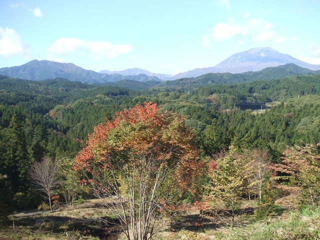 �����E�܂Ȃ��̐X