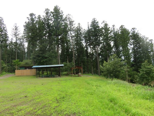 �����E�܂Ȃ��̐X