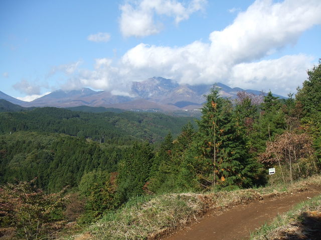 �����E�܂Ȃ��̐X