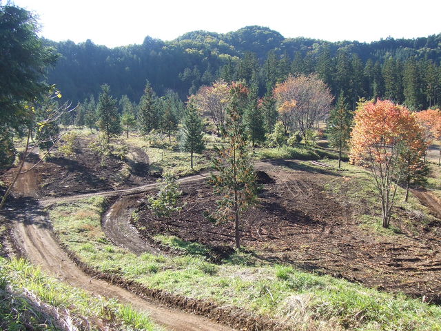 �����E�܂Ȃ��̐X