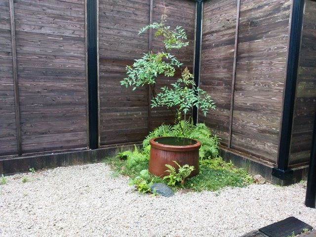 �J�~���m�H�[ �ɐ�������