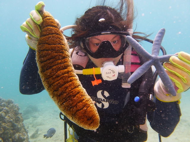 ����C�_�C�o�[�Y