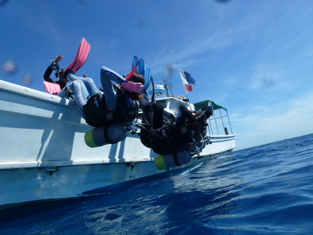 ����C�_�C�o�[�Y