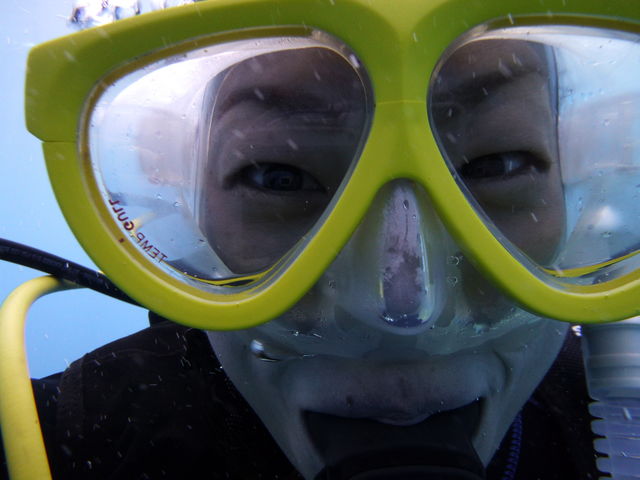 ����C�_�C�o�[�Y