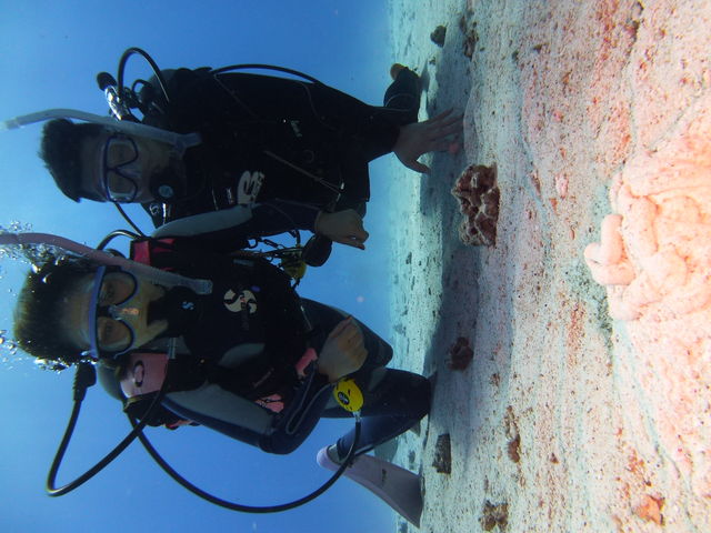 ����C�_�C�o�[�Y