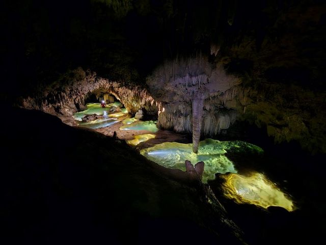 �����X�g�[���P�C�u���͊�Ղ̐Β��ƌ�����p���[�X�|�b�g���I_�P�C�r���O���_�C�r���O �V�[�h���[�����j�Ǖ�