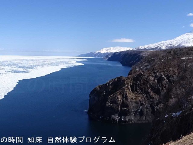 ���X��1�����{����4����{�܂ł������₷���ł�_�m�����R�̌��v���O�������̎���