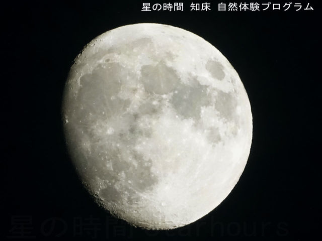 �X�}�z�Ŏʐ^���Ƃ�邱�Ƃ�����܂�_�m�����R�̌��v���O�������̎���