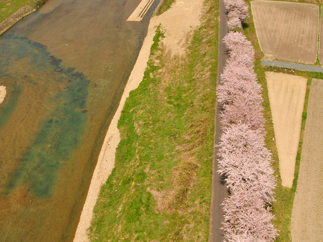 �����؂֒����I_�s�`�j�p���O���C�_�[�X�N�[��