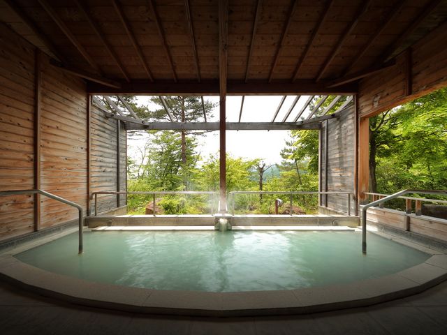 �ݐؘI�V�i�Ђ߂�����j��̓��@�V�΂̎����͔������΂�]�݂܂�_�Ԍ��n�C�����h�z�e��