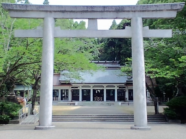 �{�茧�썑�_��