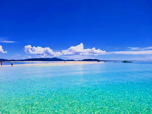 SeaChan�Ί_���̎ʐ^1
