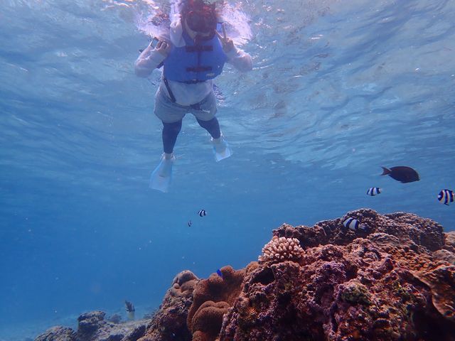 ���������������ς�_UmiOto Advance