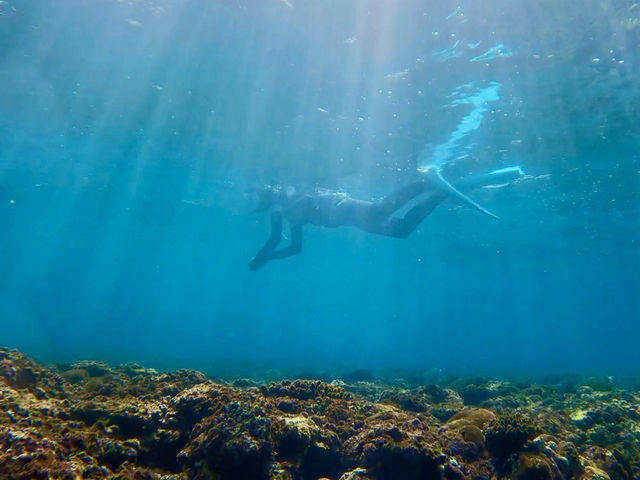 UmiOto���[�`���[�u�i�v���[���g����j�̗l�q��V���m�[�P�����N�`���[���I_UmiOto Advance