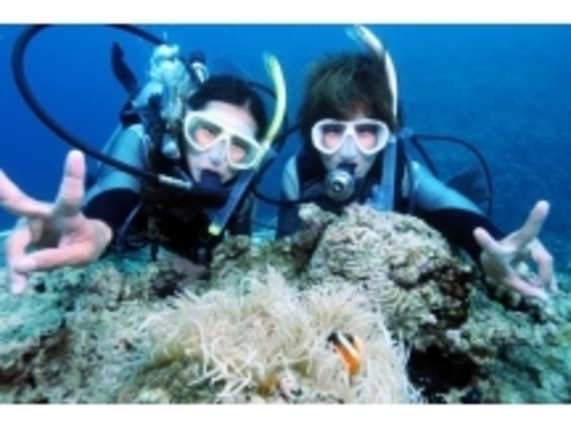 �j���ɂ������`_�X�J�C�E�H�[�J�[