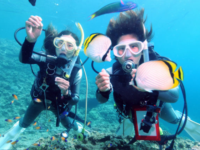 �����ɉa�t�����悤�I_�X�J�C�E�H�[�J�[